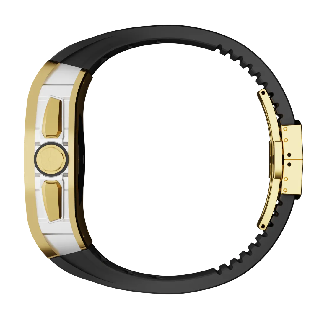 Richard titanium Apple Watch case retrofit kit