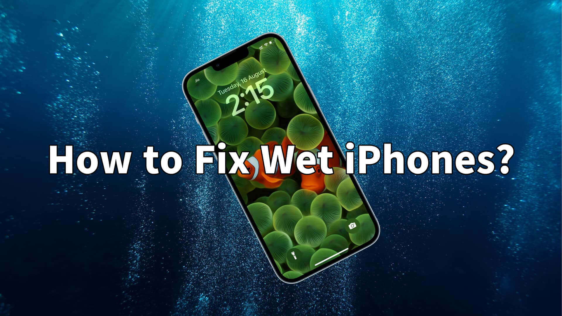 How to Fix Wet iPhones